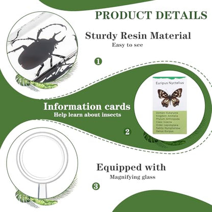 Briwooody 12 Pcs Insect in Resin Specimen, Bugs Collection, Butterfly - style: Butterfly