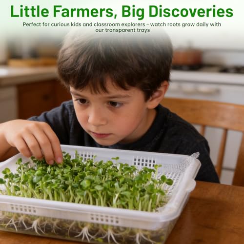 Acrylic Microgreens Growing Trays 3-Pack with Silicone Mats & Spray Bottle – Clear Hydroponic Germination Kit for Vegetables, Wheatgrass, Cat Grass – Soilless Trays for Home Kitchen & Classroom