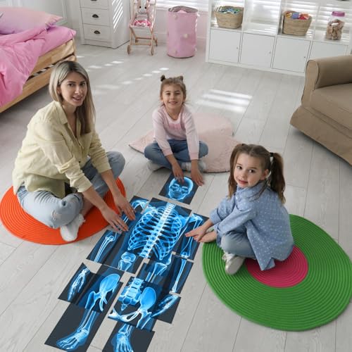 Lineshading 16 Pieces Human x Rays Bones Pretend x Rays for Kids Human Bones Body Educational Science Kit Display Play Table(Blue) - color: Blue
