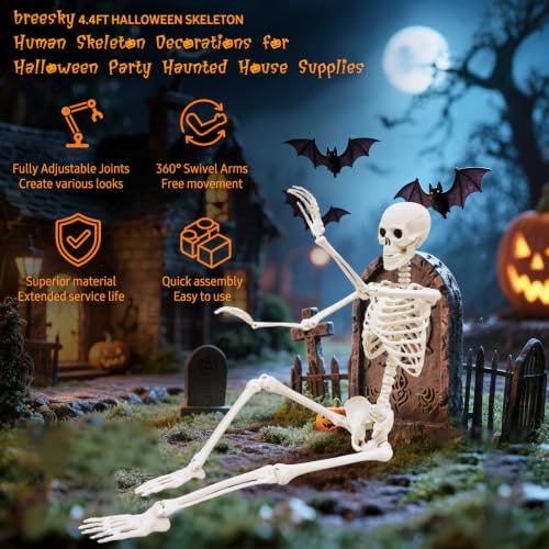 breesky Life Size Skeleton for Halloween: 4.43ft Realistic Human Anatomy Full Body Skeleton Model with 360° Posable Movable Arms - Skeletons for Outdoor Yard Haunted House Atmosphere Decoration - color: Bone White