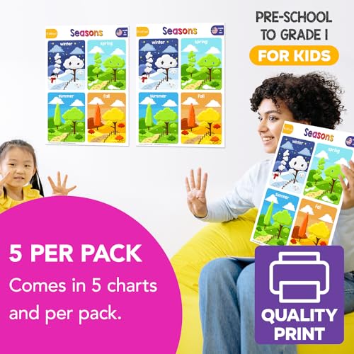 FoldCard Seasons Chart Educational Poster 8.5x11 5pk - color: Seasons