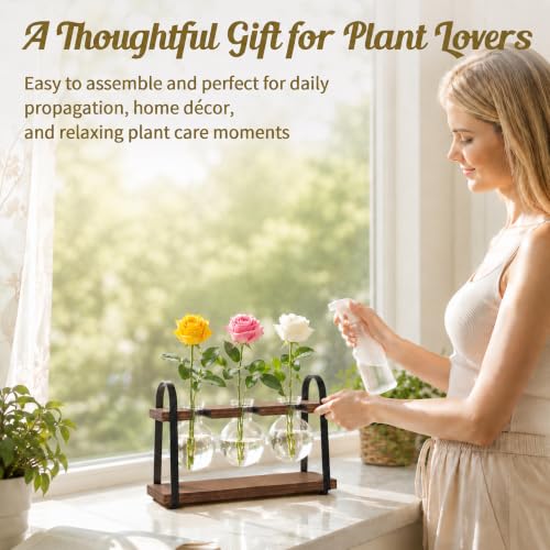 3-Bulb Plant Propagation Station, Glass Vase Terrarium, Brown - color: Brown