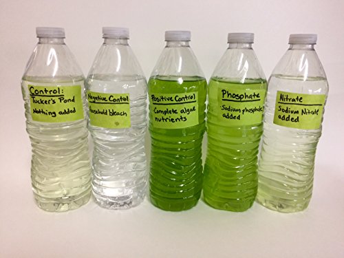 Algae Research Supply Algae Bloom Experiment Kit is My Local Water Likely to Have an Algae Bloom?