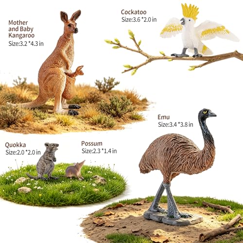 12Pcs Australian Wildlife Animal Figurines Koala Kangaroo Figures for Kids