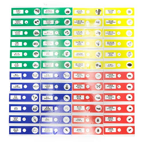 48pcs Prepared Plastic Microscope Slides Biological Specimen with 4 Boxes for Student Enlighten Education