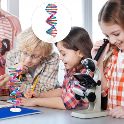 NUOBESTY DNA Model Kit Double Helix Structure Model, 13 in Assembling Biology Teaching Aid with Stand, Color-Coded Base-Pairing A-T G-C, STEM Classroom Science Fair Display for Ages 12+ (Pack of 2) - size: 37.00X11.60X11.60CM (Pack of 2)