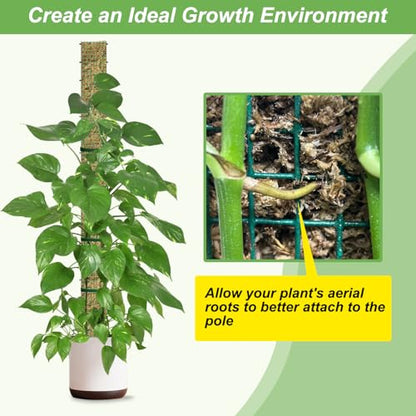 60"/40"/24" Metal Moss Pole, D Shape Sphagnum Moss Pole, Moss Poles for Climbing Plants, Monstera, Indoor Climbing Plants (3 Each of 60" 40" 24") - style: 3 Each of 60" 40" 24"