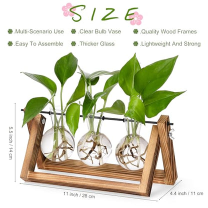 YIBOT Plant Propagation Stations with Wooden Stand & 3 Glass Bulb Vases - size: 3Bulb-A