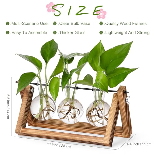 YIBOT Plant Propagation Stations with Wooden Stand & 3 Glass Bulb Vases - size: 3Bulb-A