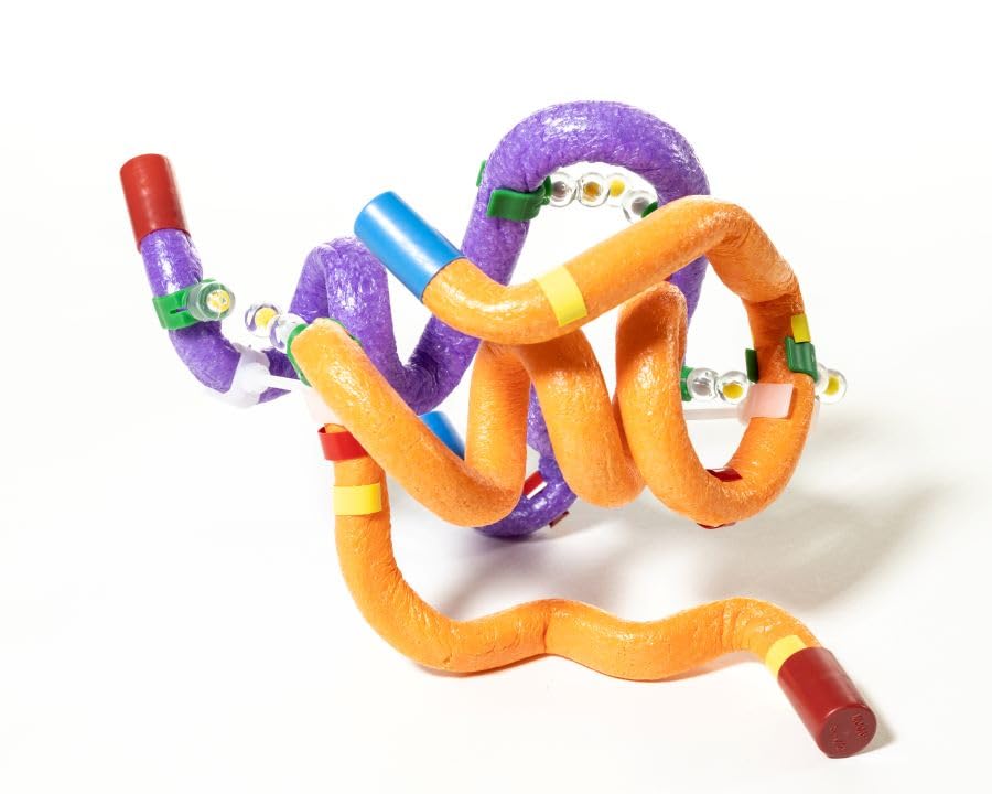 Insulin MRNA to Protein Kit© 6-Group Set
