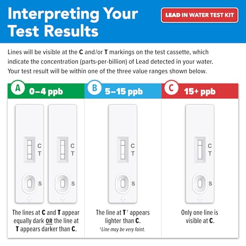 Safe Home DIY Lead in Drinking Water Combo Test Kit- (2 Pack) - color: 2-Pack