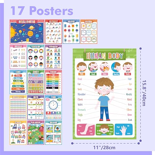 17 Educational Posters for Kids, All-in-One Set Learning Posters-Alphabet, Animals, Numbers, Colors, USA & World Map, Shapes, PET Film Coated School Supplies For Kindergarten, Preschool, Classroom - color: 17 Educational Posters-B