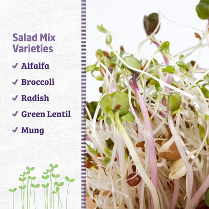 Back to The Roots 100% Organic 5-Part Salad Seeds | 1 Pound Non-GMO | Nutrient Dense, Easy to Grow, Rich in Fiber - color: Salad Mix 1lb