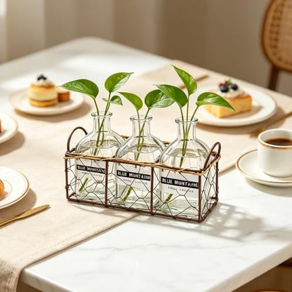 Plant Propagation Stations with Metal Stand 3 Jars