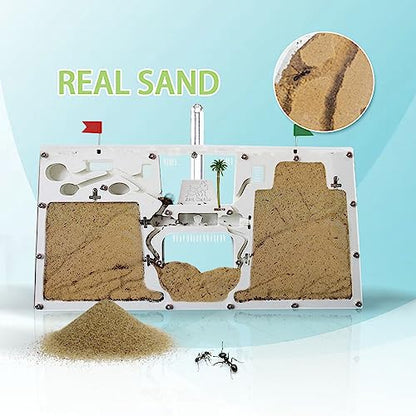 ELNMLHT Ant Farm Castle, Ant Farms with Yellow Sand and Tool Kit, Ant Colony Observation Kit, Ant Viewing Habitat Science Kit, Educational & Learning Science Kit for Kids, Adults, Student - color: Ant Farm C