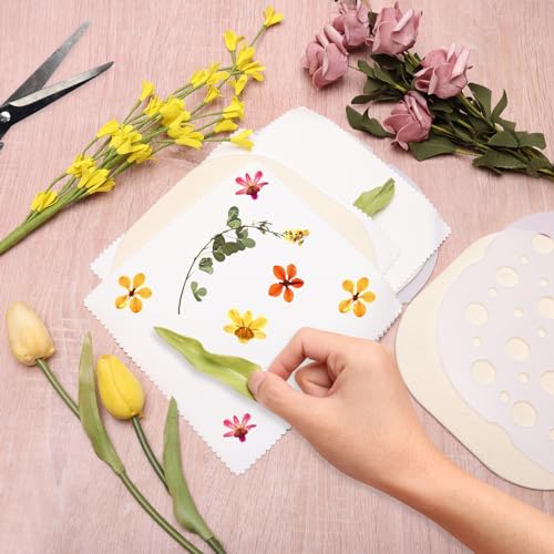 Coldairsoap Microwave Flower Press Kit for Adults 4 Layers 8" x 8"