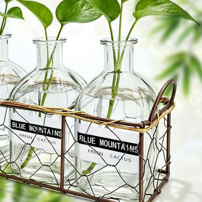 Plant Propagation Stations with Metal Stand 3 Jars