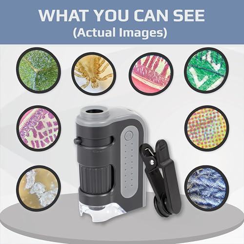 Carson MicroBrite Plus, 60x-120x LED Lighted Pocket Microscope |Portable Handheld Microscope STEM Toy - Mini Microscope for Student Science Lab, Educational Portable Microscope (MM-300) - style: Microscope