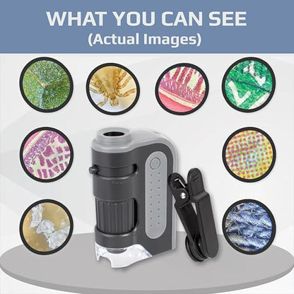 Carson MicroBrite Plus, 60x-120x LED Lighted Pocket Microscope |Portable Handheld Microscope STEM Toy - Mini Microscope for Student Science Lab, Educational Portable Microscope (MM-300) - style: Microscope
