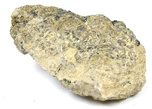 EISCO Andesite Specimen (Igneous Rock), Approx. 1" (3cm) - Pack of 12
