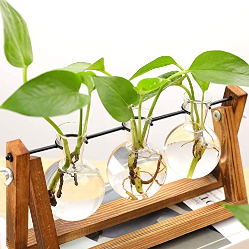 Kingbuy Desktop Glass Planter, 3 Bulb Vases, Brown - size: 3 Bulb Vase (C-type)
