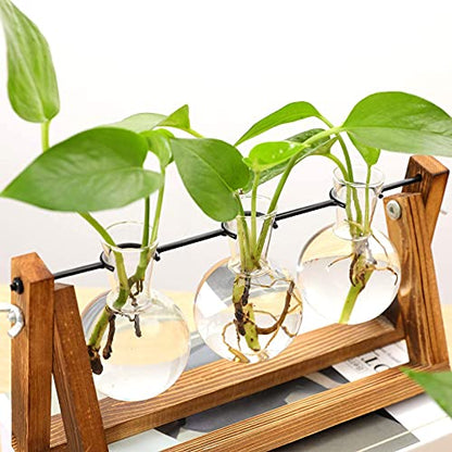 Kingbuy Desktop Glass Planter, 3 Bulb Vases, Brown - size: 3 Bulb Vase (C-type)