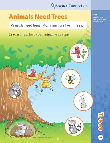 Evan-Moor Skill Sharpeners STEAM Workbook, Grade PreK, Science, Technology, Engineering, Art, Math, Hands On Activities, Helping Others, Collaboration, Solve Real World Problems, Puzzles, Homeschool