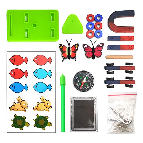 EUDAX Labs Junior Science N/S Magnet Set for Education Science Experiment Tools Icluding Bar/Ring/Horseshoe/Compass Magnets - size: Small to Medium