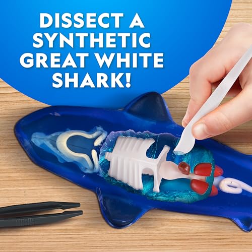 National Geographic Glow-in-the-Dark Shark Dissection Kit for Kids - style: Shark Dissection Kit