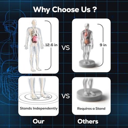 GobiDex Human Body Skeleton Model Kit, Glow in The Dark Science Kit for Kid