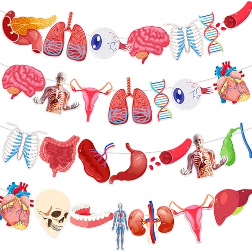 4 Strings 28 Pcs Anatomy Themed Hanging Banner, Human Body Parts Educational Cutouts Garland for Classroom Decorations, Science Party Supplies, School Learning Tools, and Medical Office Decor