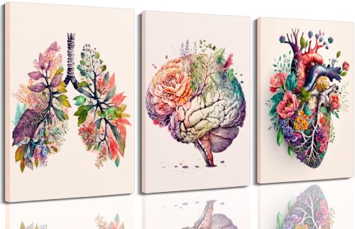 XCDVVAW Floral Anatomy Poster Wall Art Set of 3, Brain Lungs Heart with Flowers Canvas Prints, Unframed Medical Botanical Artwork, Modern Wall Decor for Clinic Office Bedroom Living Room - color: Flowers organs B, size: 16"L x 12"W