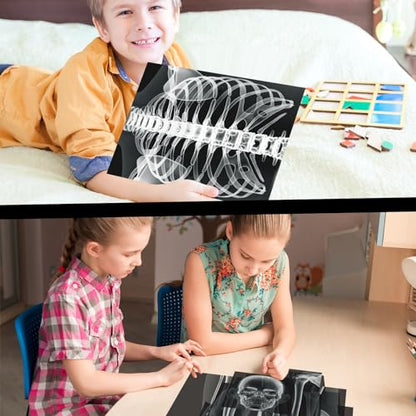 Lineshading 16 Pieces Human x Rays Bones Pretend x Rays for Kids Human Bones Body Educational Science Kit Display Play Table(Black and White) - color: Black and White