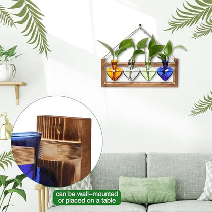 Plant Propagation Stations Heart Plant Terrarium Kit - color: Color01