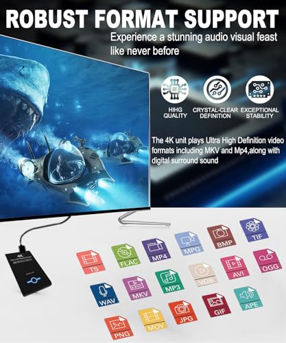 4K Ultra HD Media Player 2-in-1 HDD Enclosure for USB Drives and MicrosD Cards- Plays Digital Signage, H.265/HEVC H.264/AVC MP4 MKV Videos Etc,Auto Play and Resume,Supports 2"/2.5"/3" SATA HDD - color: Pearl Black