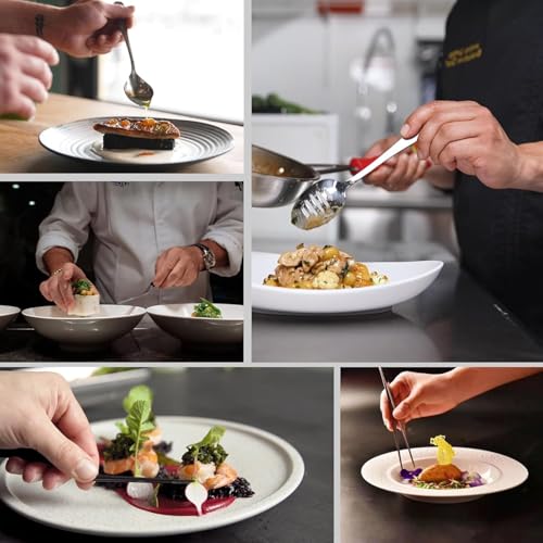 | Plating Tools Culinary Set | 11 Piece Professional Chef Plating Tools Pro Kit | Kitchen Plating Utensils | Modernist Cuisine Food Art | Stainless Steel | Black (Silver) - color: Silver