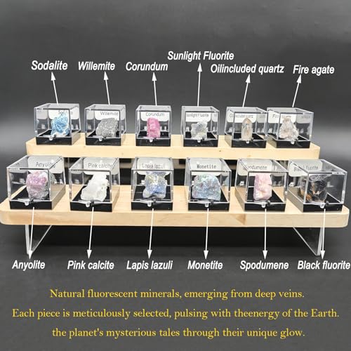 Ultimate Fluorescent Minerals Collection, 12 Rare Glowing Stones Set with UV Flashlight and Display Stand, STEM Geology Science Gift for Students and Collectors