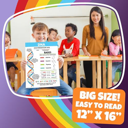 Sproutbrite 8 Pack 12”x16” Plant Cells & Human Body Science Posters & Chart