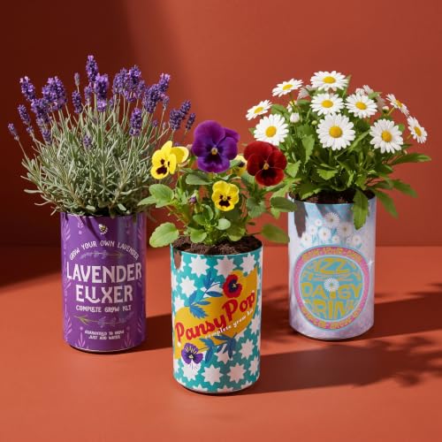 BUZZY Seeds Flower Grow Kit 6-Pack – Pansy, Lavender & Daisy Soda Cans with Seeds, Growing Medium & Liners – Fun DIY Indoor Gardening Party Favors & Gift Set