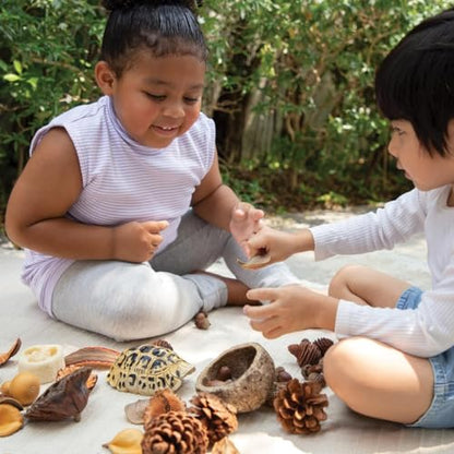 Kaplan Early Learning Company Nature's Geometry: Loose Parts STEM Kit
