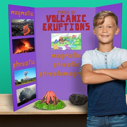 Flipside Products 36” x 48” Project Boards for Presentations, Science Fair, School Projects, Event Displays and Trifold Picture Board, Proudly Made in USA - Purple - 24 Pack - color: Purple, size: 24 Pack
