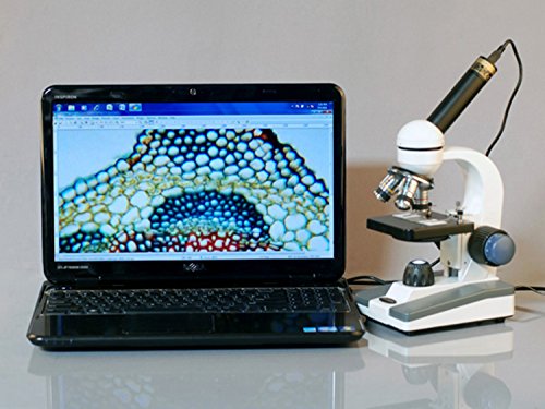 AmScope M150C-PB10-WM Compound Monocular Microscope, WF10x and WF25x