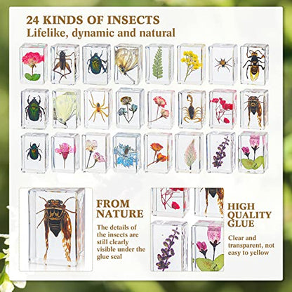 Geelin 24 Pcs Insect in Resin Specimen Set Specimen Bugs Plant Flower Paperweight Butterfly Science Mini Animals Figures for Biology Science Teacher Education Collection