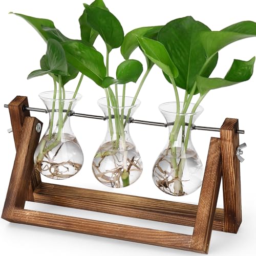 YIBOT Propagation Stations,Plant Terrarium with Wooden Stand-3 Glass Vases - size: 3Vase-B