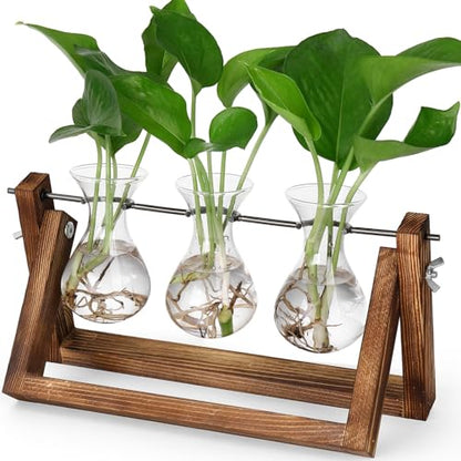YIBOT Propagation Stations,Plant Terrarium with Wooden Stand-3 Glass Vases - size: 3Vase-B