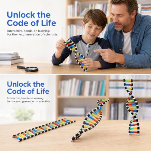 Alasum DNA Double Helix Model Molecular Model Kit for Biology Teaching Display Science Education Toy for Classroom Student Learning and Biology 15.74In