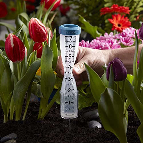Taylor Freeze Proof Silicone Rain Gauge 7 Inch Capacity, Teal - size: 7 Inch