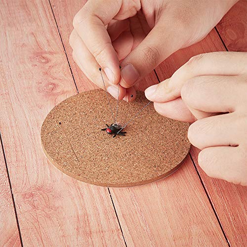 WILLBOND 500 Pieces Stainless Steel Insect Pins Kit Specimen,2 Sizes - size: 2 Size