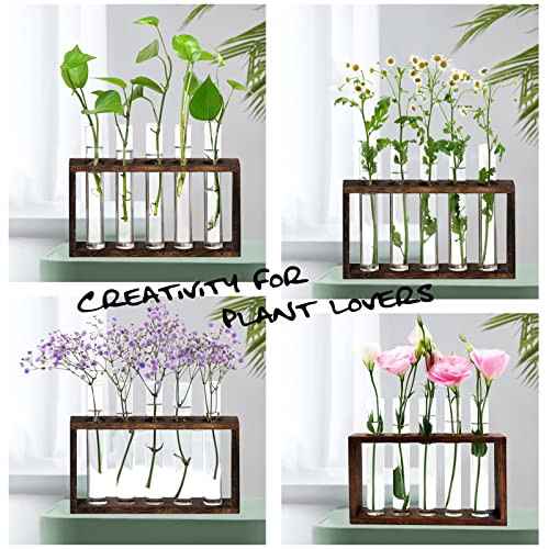 XXXFLOWER Wooden Stand with Test Tube Propagation Station Rack Desktop Hydroponics Terrarium Wall Terrarium for Home Office Plant Hanger Flower Vases Wall Decor Hydroponic Cuttings