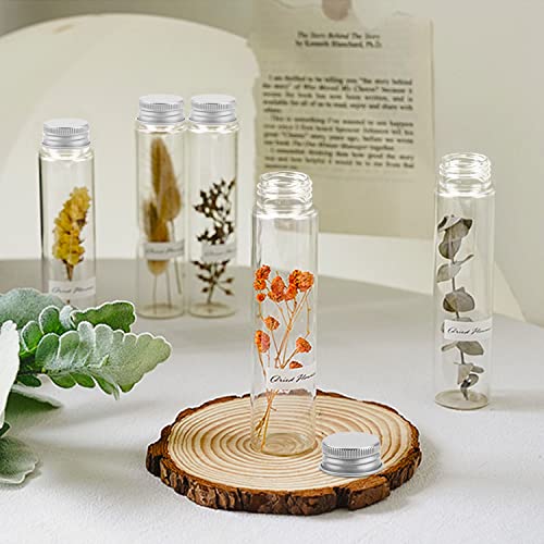 110 ml Clear Test Tube,36 Pack Clear Plastic Test Tubes Candy Tube Transparent Test Tubes with Cap,Flat Bottomed Plastic Tubes Bath Salt Container,3.7 OZ (Silver Cap)